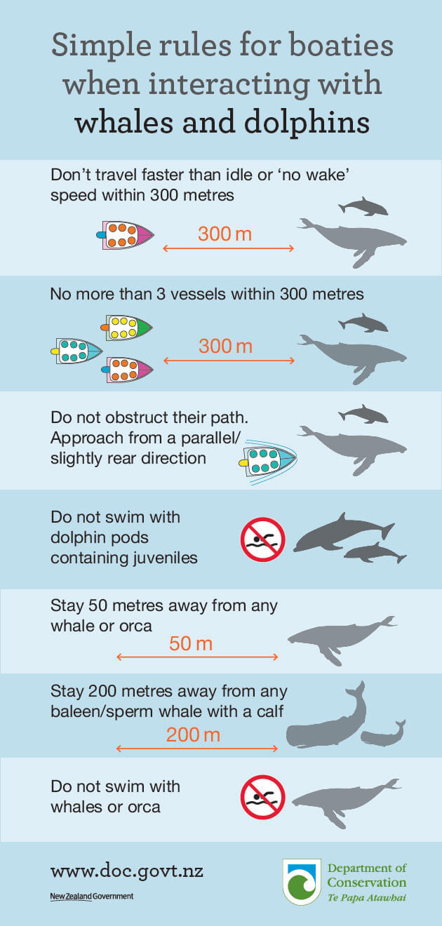 marine-mammal-rules-for-social-media