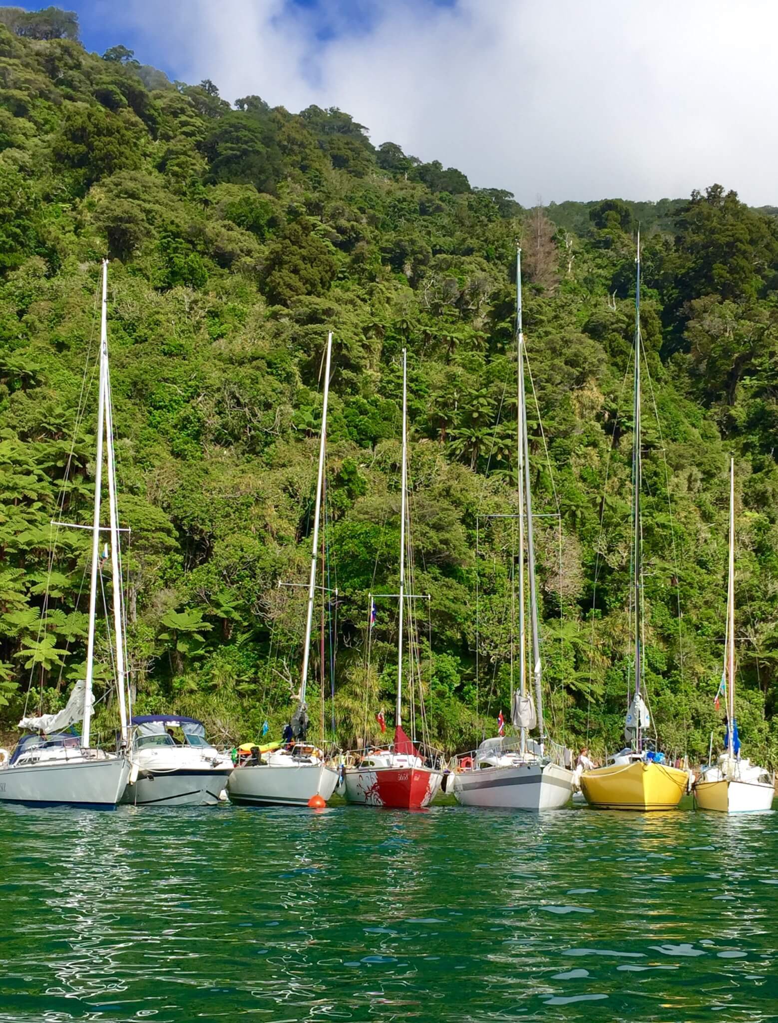 Snaps of Summer Entry “Raft up in Ships Cove” by Viki Moore.