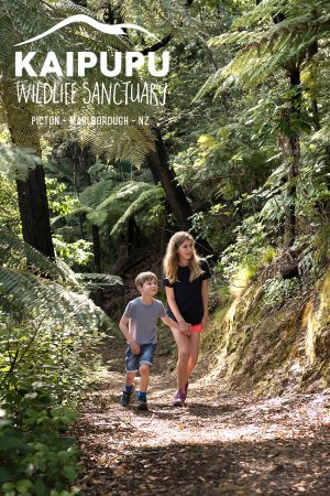 children-walking-at-kaipupu